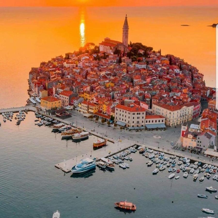 Ana Apartman *